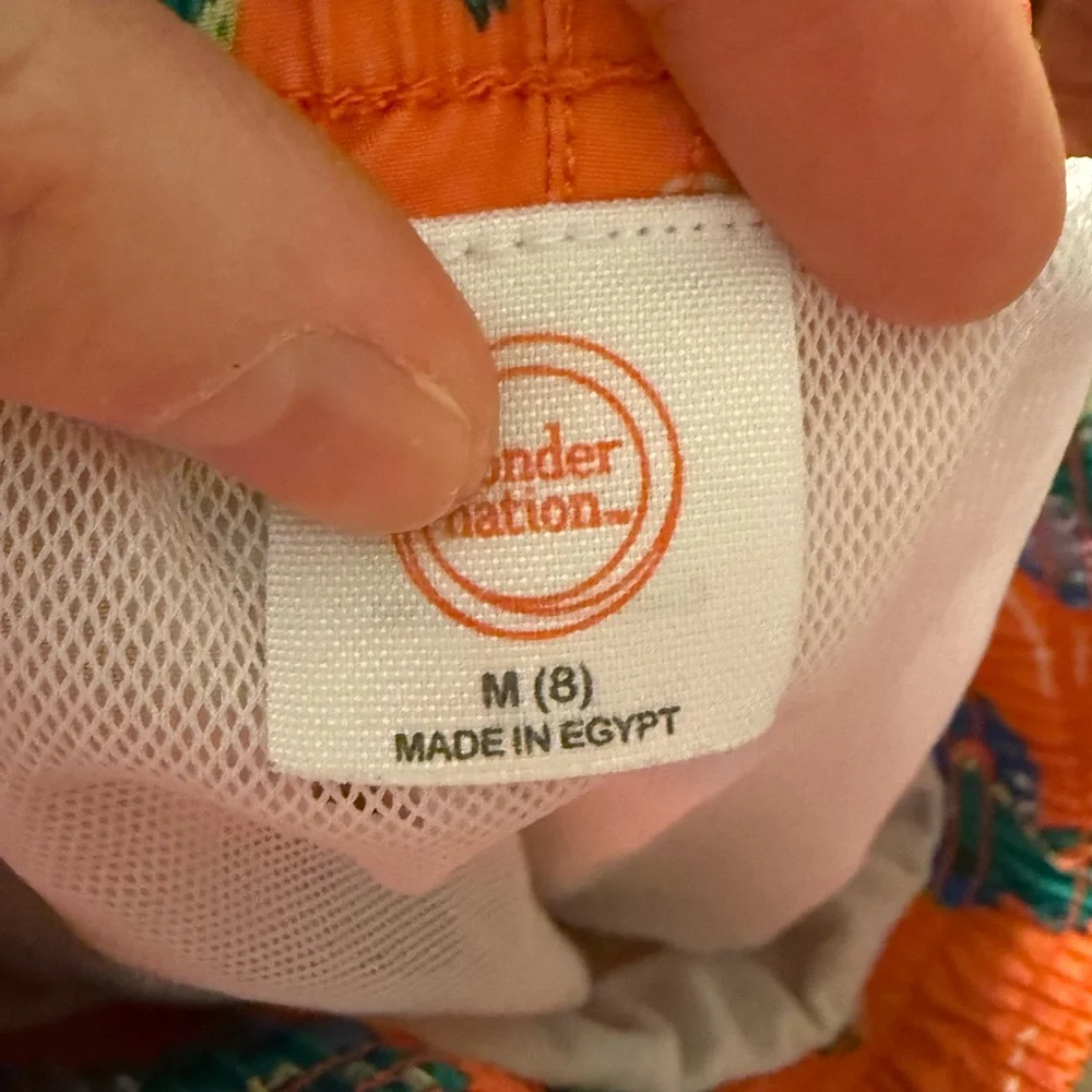 Wonder Nation Dinosaur Print Boys’ Swim Trunks